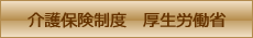 介護保険制度　厚生労働省